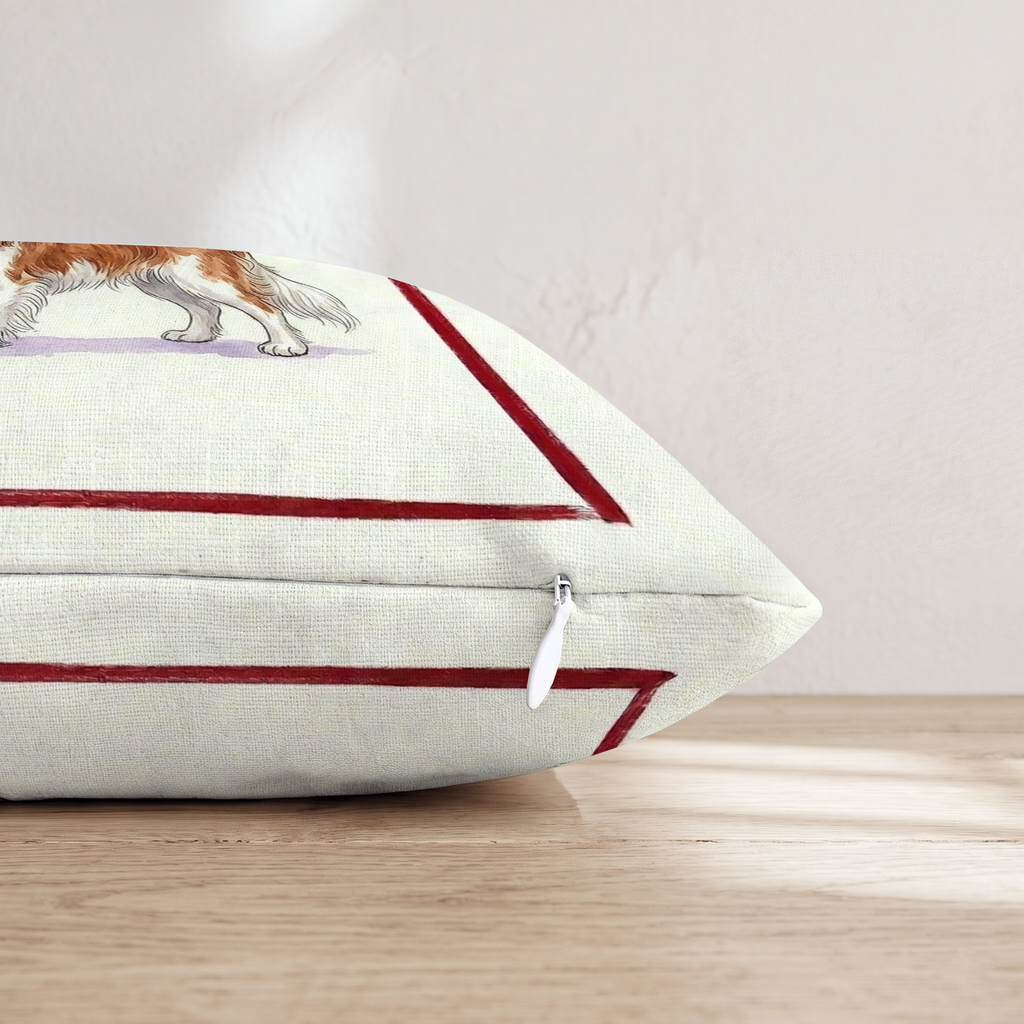 HH017721 HH017721_pillow_edge_zipper.png