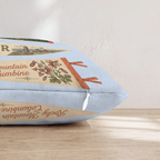 HH042865 HH042865_pillow_edge_zipper.png