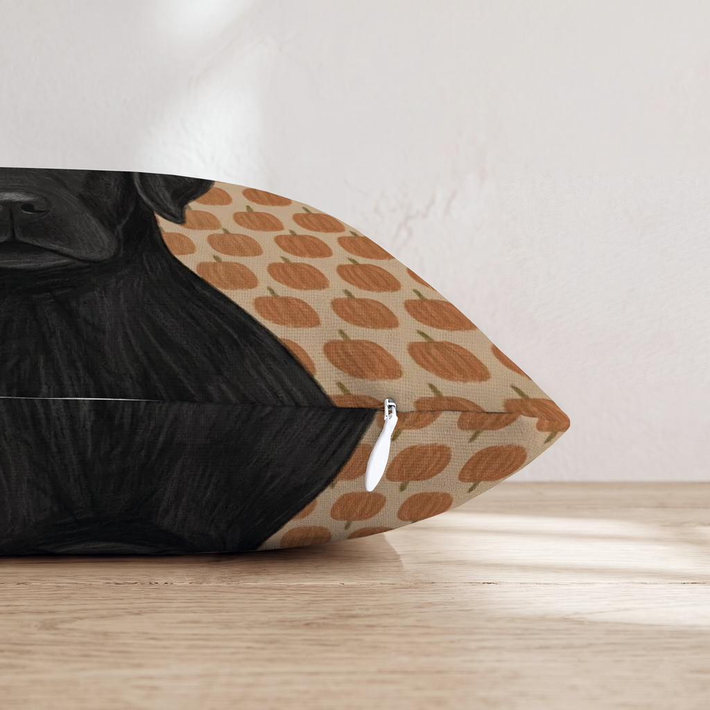 HH521131 HH521131_pillow_edge_zipper.png