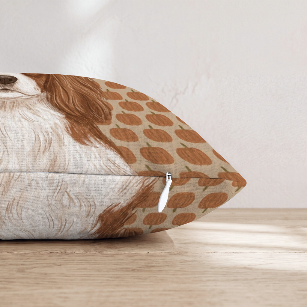 HH621458 HH621458_pillow_edge_zipper.png