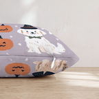 HH730305 HH730305_pillow_edge_zipper.png