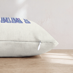 HH838793 HH838793_pillow_edge_zipper.png