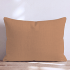 LR223119 LR223119_lumbar_KE.png