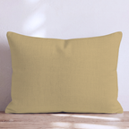 LR532198 LR532198_lumbar_KE.png