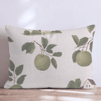 Apple of My Eye Throw Pillow - Hillcroft Home