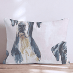 Divine & Dane Throw Pillow - Hillcroft Home