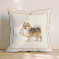 Pomeranian Tumbler Throw Pillow - Hillcroft Home