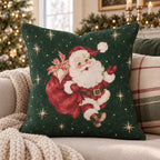 Special Delivery Throw Pillow throw pillow - Hillcroft Home